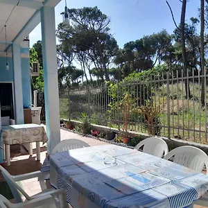 Bibbona Summer - Intero - Appartamento Marina Di Bibbona
